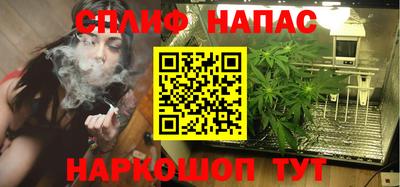 МДПВ Лесосибирск