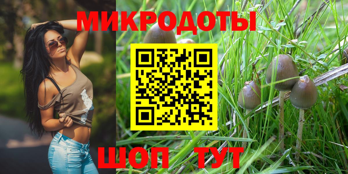 Галлюциногенные грибы MAGIC MUSHROOMS  Псилоцибиновые грибы Psilocybine cubensis  Вход с VPN  Узловая 