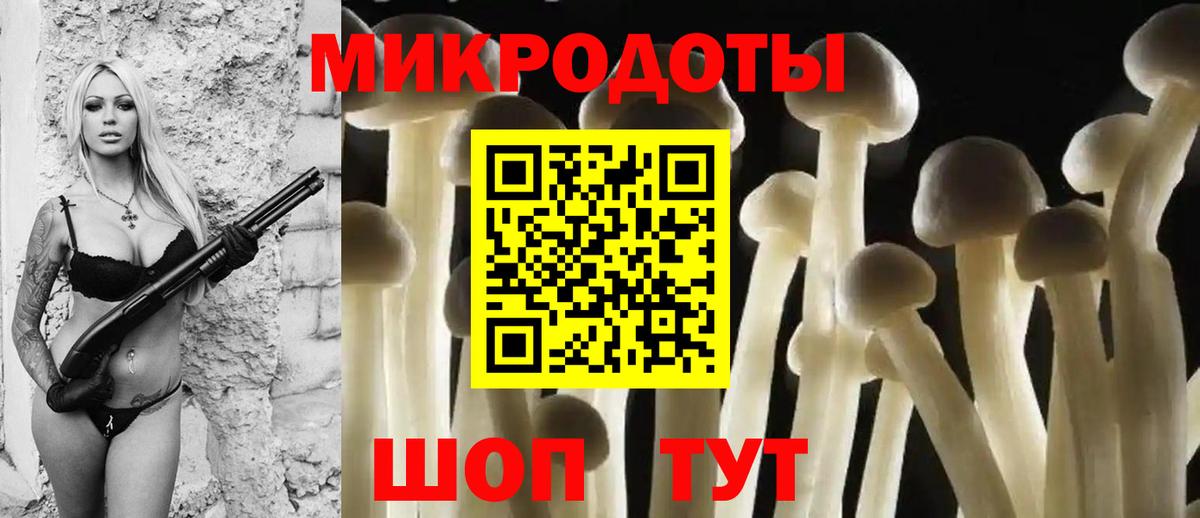 Псилоцибиновые грибы мицелий Узловая